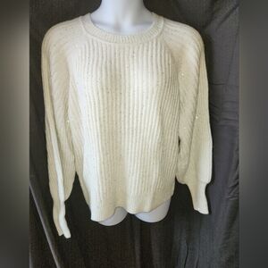 Liz Claiborne Scoop Neck Sweater With Silver Inlay & Silver Sequins Size 1X NWT